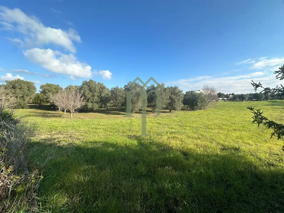 Masia a Ostuni, Brindisi - foto 2